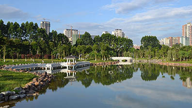 城市濕地公園規劃設計的控制要素總結